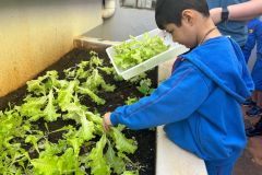 WhatsApp-Image-2025-05-06-at-11.58.51