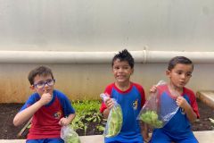 WhatsApp-Image-2025-05-07-at-17.06.22-1