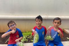 WhatsApp-Image-2025-05-07-at-17.06.22