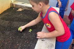 WhatsApp-Image-2025-03-14-at-09.30.49