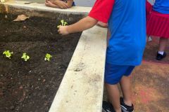 WhatsApp-Image-2025-03-14-at-09.30.50-2