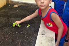 WhatsApp-Image-2025-03-14-at-09.30.51