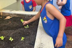 WhatsApp-Image-2025-03-14-at-09.30.52