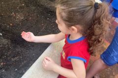 WhatsApp-Image-2025-03-14-at-09.30.58