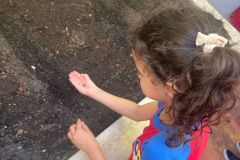 WhatsApp-Image-2025-03-14-at-09.30.59-2