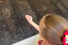 WhatsApp-Image-2025-03-14-at-09.30.59