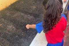 WhatsApp-Image-2025-03-14-at-09.31.00-1