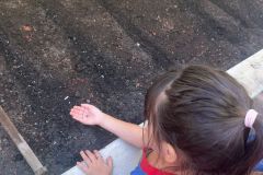 WhatsApp-Image-2025-03-14-at-09.31.00