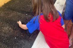 WhatsApp-Image-2025-03-14-at-09.31.01-1