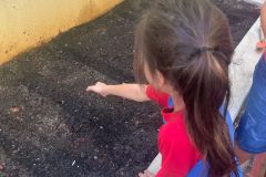 WhatsApp-Image-2025-03-14-at-09.31.01