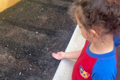 WhatsApp-Image-2025-03-14-at-09.31.02-1