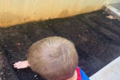 WhatsApp-Image-2025-03-14-at-09.31.02-2