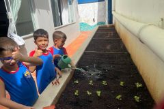 WhatsApp-Image-2025-03-20-at-10.13.44-1