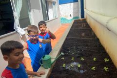 WhatsApp-Image-2025-03-20-at-10.13.44-2