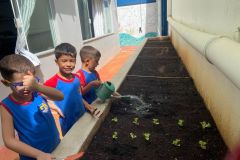 WhatsApp-Image-2025-03-20-at-10.13.44