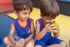 WhatsApp-Image-2025-02-26-at-10.12.07