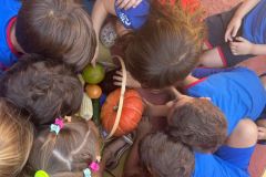 WhatsApp-Image-2025-02-26-at-10.12.09-2