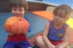 WhatsApp-Image-2025-02-26-at-10.12.14