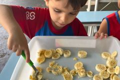 WhatsApp-Image-2025-04-03-at-09.50.35