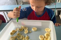 WhatsApp-Image-2025-04-03-at-09.50.36-1