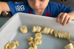 WhatsApp-Image-2025-04-03-at-09.50.37