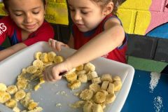 WhatsApp-Image-2025-04-03-at-10.08.00