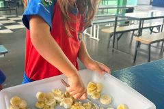 WhatsApp-Image-2025-04-03-at-10.08.01-1