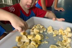 WhatsApp-Image-2025-04-03-at-10.08.01-3