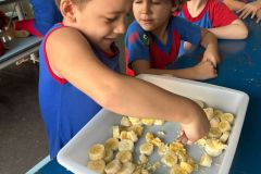 WhatsApp-Image-2025-04-03-at-10.08.02-1