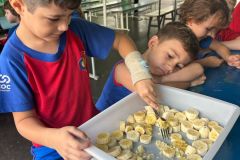 WhatsApp-Image-2025-04-03-at-10.08.02-2