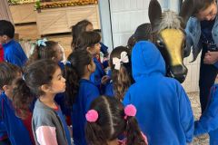 WhatsApp-Image-2025-05-22-at-10.50.37-1