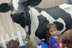 WhatsApp-Image-2025-05-22-at-10.50.37