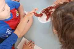 WhatsApp-Image-2025-09-17-at-10.03.59-1