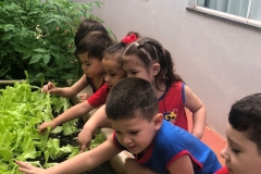 WhatsApp-Image-2024-11-29-at-16.17.14