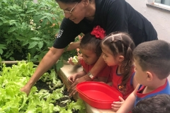 WhatsApp-Image-2024-11-29-at-16.17.21-1