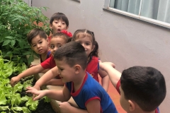 WhatsApp-Image-2024-11-29-at-16.17.21