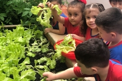 WhatsApp-Image-2024-11-29-at-16.17.22-1