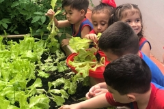 WhatsApp-Image-2024-11-29-at-16.17.22-2