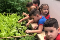 WhatsApp-Image-2024-11-29-at-16.17.22