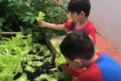 WhatsApp-Image-2024-11-29-at-16.17.23-1