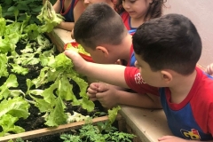 WhatsApp-Image-2024-11-29-at-16.17.24-1