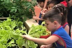 WhatsApp-Image-2024-11-29-at-16.17.24