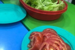 WhatsApp-Image-2024-11-29-at-16.39.58-1