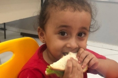 WhatsApp-Image-2024-11-29-at-16.39.59