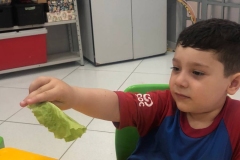 WhatsApp-Image-2024-11-29-at-16.40.00-1