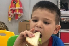 WhatsApp-Image-2024-11-29-at-16.40.00