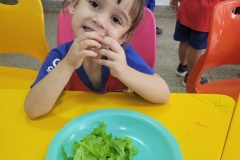 WhatsApp-Image-2024-12-04-at-09.06.40-1