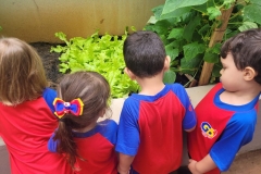 WhatsApp-Image-2024-12-04-at-09.06.41-1