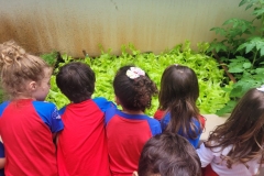 WhatsApp-Image-2024-12-04-at-09.06.41-3