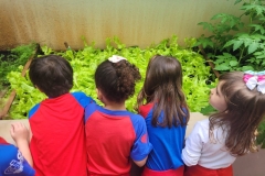 WhatsApp-Image-2024-12-04-at-09.06.41-4